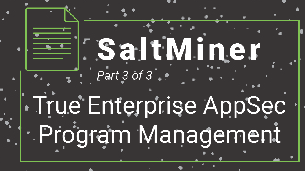 SaltMiner-True Enterprise AppSec Program Management